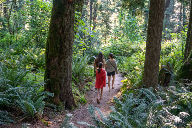 istock Family hikes in old growth forest 2164713458