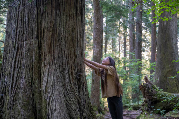 istock Young girl touches old growth tree 2164713535