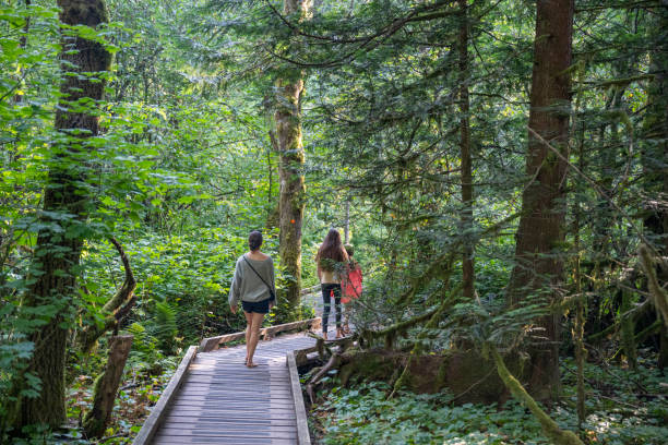 istock Family hikes in old growth forest 2164713660