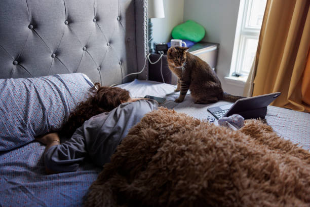 istock Overworked woman sleep after sleepless night with gadgets and her cat. Insomnia problems of young people 2164714756