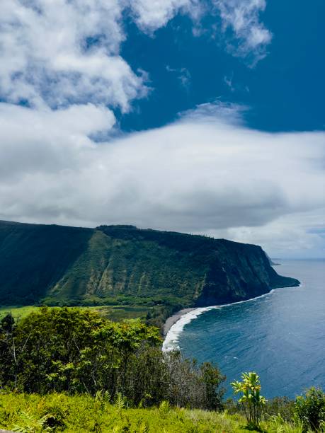 istock Big Island Coastline 2164719777