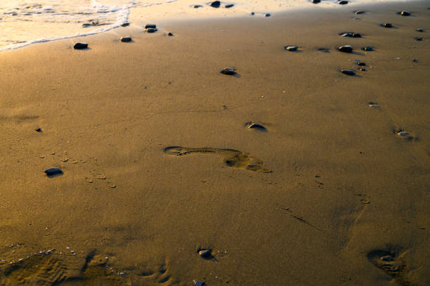 Footprints of human feet on the sand near the water on the beach