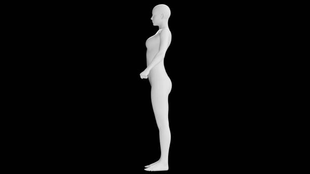 istock Female Mannequin in Confident Pose Isolated on Black Background. Side View 2164720871