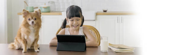 istock Portrait of Asian girl using computer to learn lessons in elementary school. Student nerd glasses girl study in primary. Children gadgets in classroom. Education knowledge, technology internet banner 2164723938