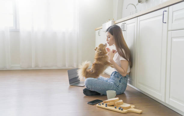 istock Asian beautiful lady woman work with notebook sit down kitchen floor at home, technology woman concept for alternative office freelance Young happy Asian woman using laptop on lap play with pet dog 2164723954