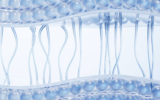istock Skin cell background with cosmetics concept, 3d rendering. 2164726556