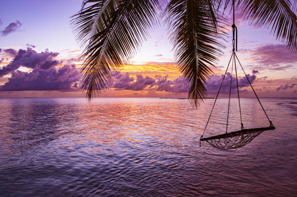 istock Tropical paradise beach and dramatic sky during the sunset 2164732383