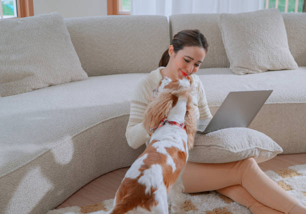 istock Young woman working on laptop beside her dog 2164733761