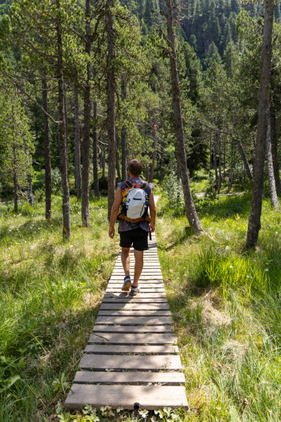 istock Man Hiking on Wooden Trail in Forest 2164734661
