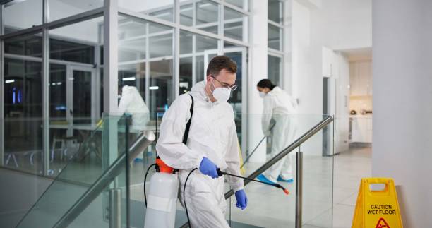 Man, cleaner and fumigation for hygiene, fresh and disinfectant for virus protection and maintenance. People, ppe suit and spray for bacteria, disease and prevention in office as team in pest control Man, cleaner and fumigation for hygiene, fresh and disinfectant for virus protection and maintenance. People, ppe suit and spray for bacteria, disease and prevention in office as team in pest control office fogging stock pictures, royalty-free photos & images