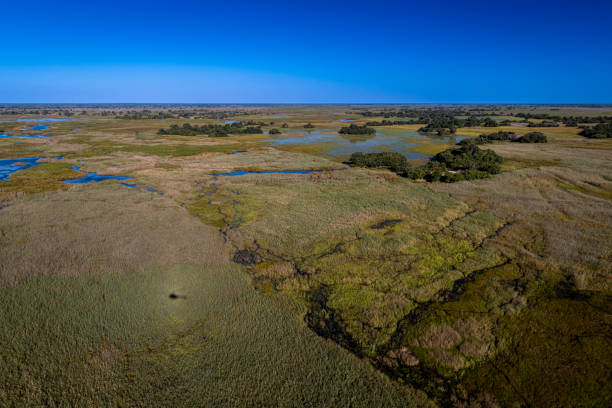 istock okavango delta, river, marsh, wetland, africa, african landscape 2164735568