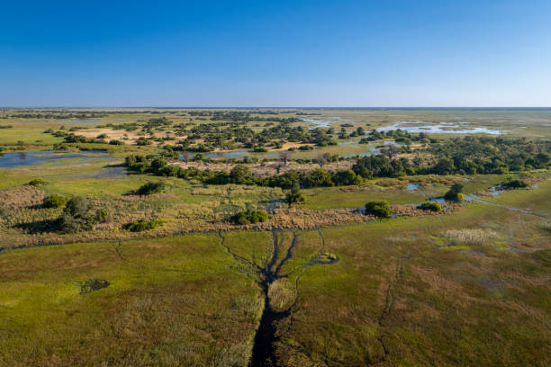 istock okavango delta, river, marsh, wetland, africa, african landscape 2164736110