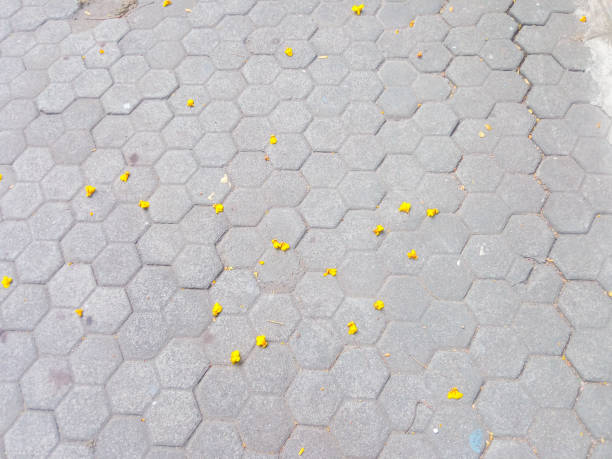 small yellow flowers scattered on the ground