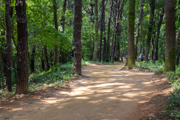 istock Summer Red Clay Barefoot Walking Trail 2164739283