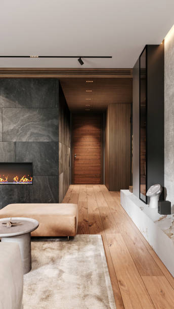 istock Modern apartment hall with entrance door interior 2164743459