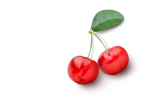 Acerola cherry top view stock photo