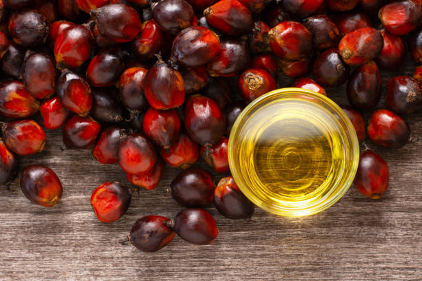 Palm oil with oil palm stock photo