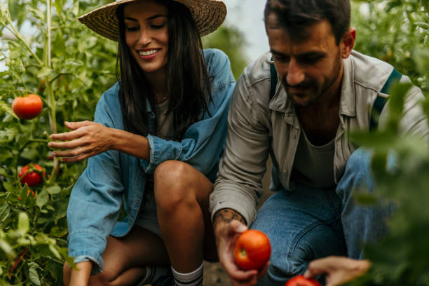 istock Agriculture farming is our life 2164746055