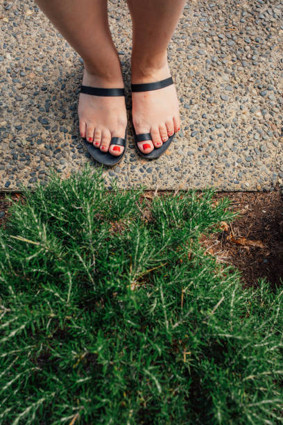 istock standing in front of Rosemary 2164746843