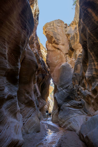 istock Wills Creek Narrows Trail 2164747794