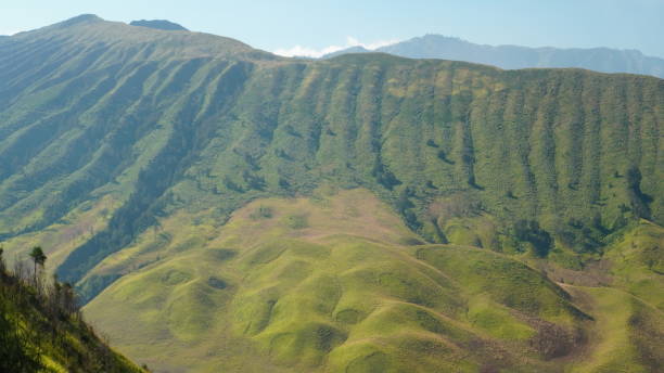 istock beautiful green savannah 2164748327