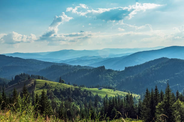 istock Landscapes -  Forest - Europe, Romania 2164748554