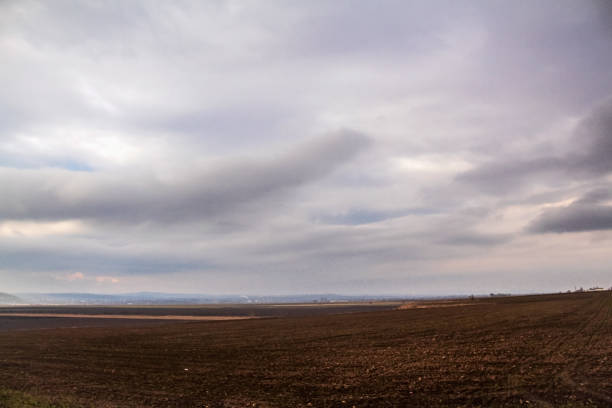 Landscapes -  Forest - Europe, Romania