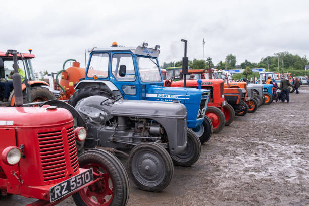Bristol, UK: September 19, 2021: A 1969 Massey Ferguson 135 Vintage Tractor, Reg No: UYB 446G at The Chew Valley Ploughing Match 2021.