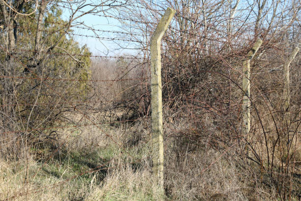 A Close Up of a Wooden Fence with Barbed Wire