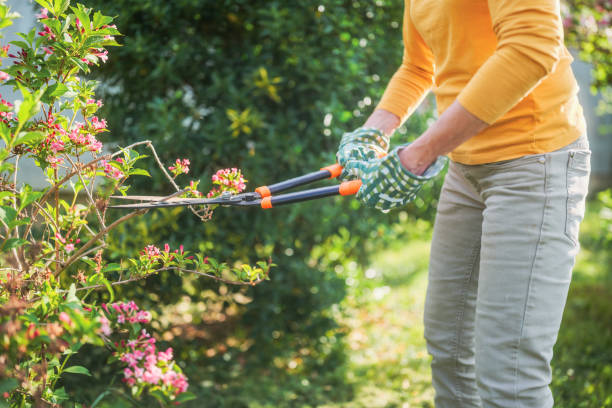 istock Senior woman gardening 2164767224