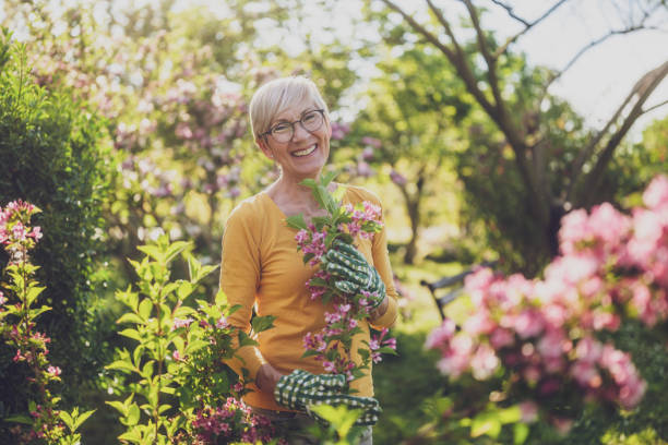 istock Senior woman gardening 2164767250