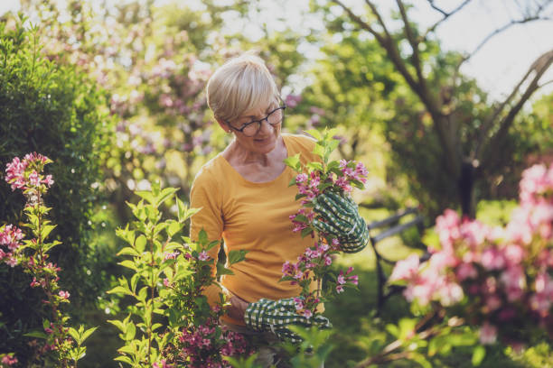 istock Senior woman gardening 2164767263