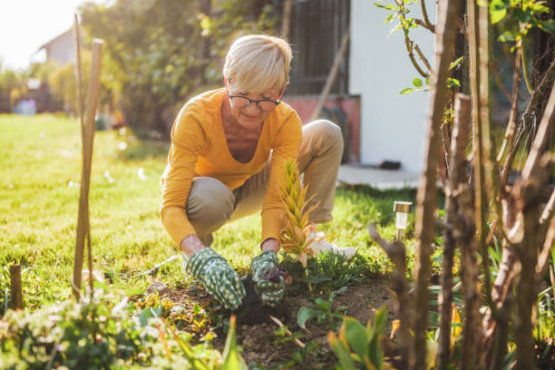 istock Senior woman gardening 2164767282