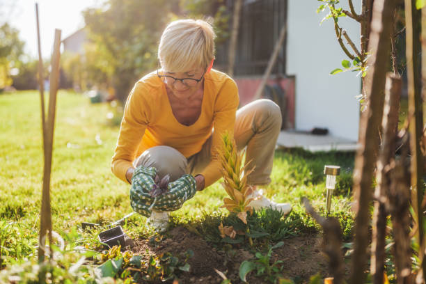 istock Senior woman gardening 2164767289