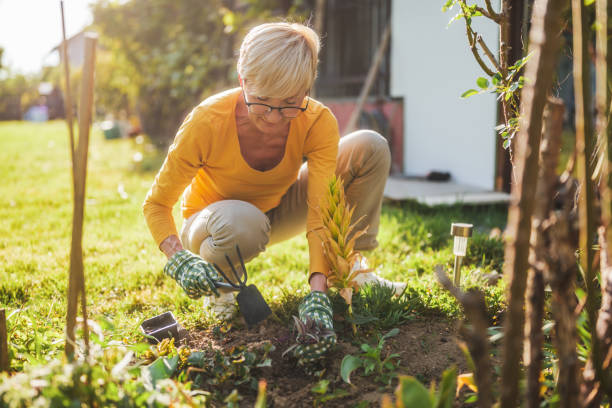 istock Senior woman gardening 2164767292