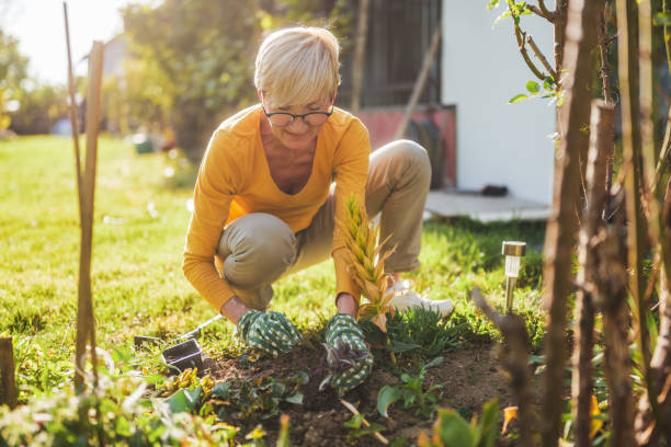 istock Senior woman gardening 2164767298