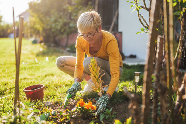 istock Senior woman gardening 2164767332