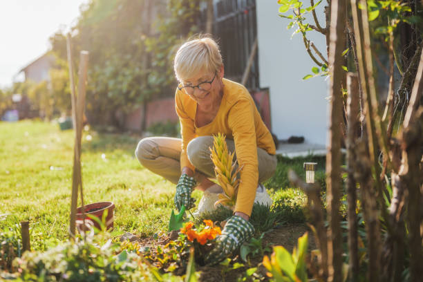 istock Senior woman gardening 2164767334