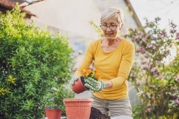 istock Senior woman gardening 2164767348