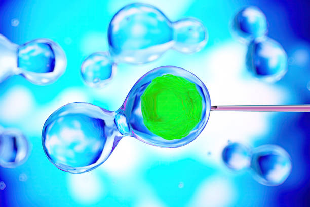 In vitro fertilization or IVF. Artificial Insemination Process. Laser Needle Injection to Cell. 3D Render