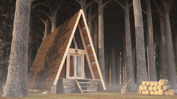 istock Triangle Wooden Log Cabin in Woods 2164769815