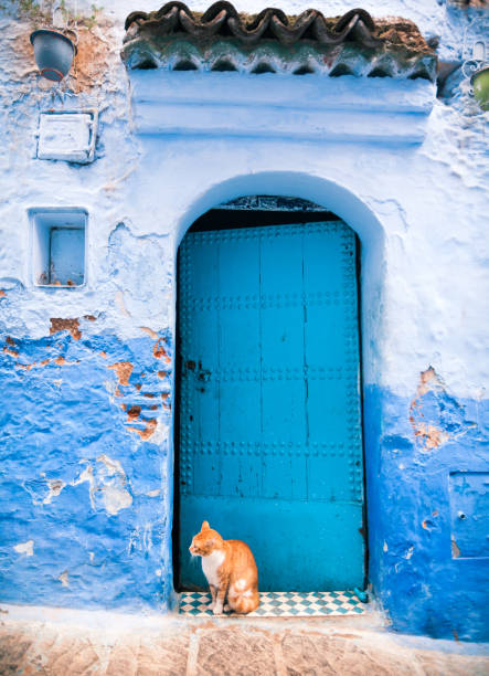 istock Chefchaouen the blue city 2164770525