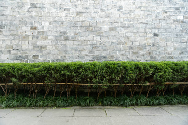 Stone Wall with Green Bushes and a Concrete Sidewalk