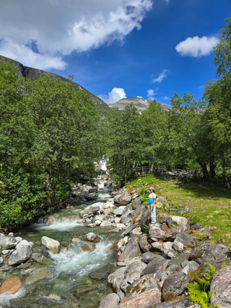 istock Exploring Norway's Breathtaking Mountain Stream on a Sunny Day 2164773302