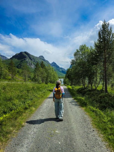 istock Hiking Through Lush Norwegian Landscape Under Bright Blue Sky 2164776337
