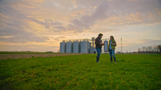 istock Agricultural Experts Discussing while Standing at Organic Field 2164778055