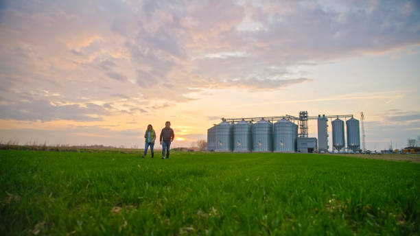 istock Agricultural Experts Analyzing Crops and Discussing at Farm 2164778067