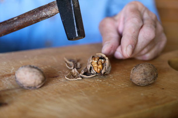 Close-Up of an Elderly Man Cracking Walnuts with a Hammer: Detailed View of the Weathered Hand and the Precise Motion of the Tool