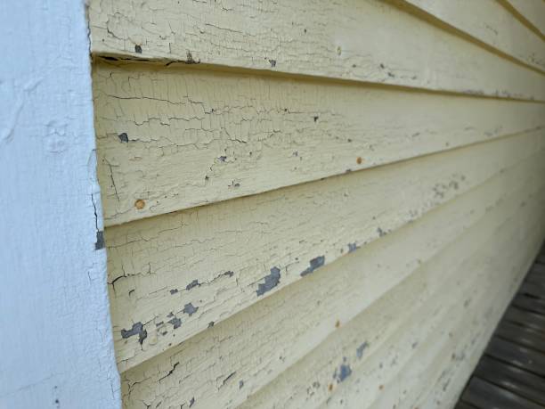 istock Paint Flaking and Needs Repair 2164779712