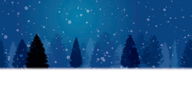 istock Winter Scene of Evergreen Trees and Snow 2164780309